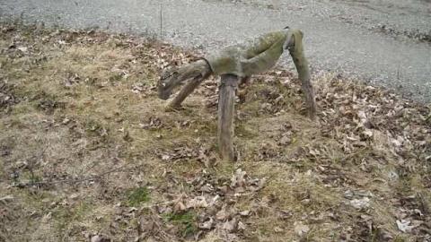 House of tires and spiders photo 2