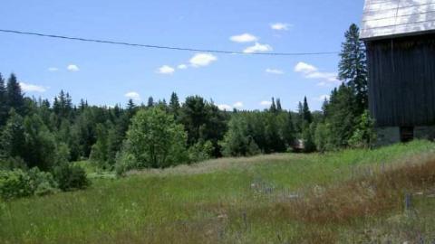 Next flag stop: Furnace Falls  - Furnace-Falls-(ghost-town)-211.jpg