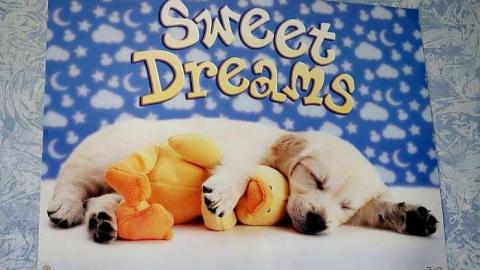 Playtime '15 - DSC04930.jpg