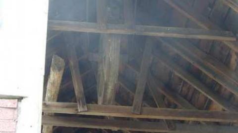 April 2011 - P1060245.jpg