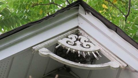 Lucky3 - 20150819190059.jpg