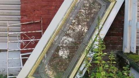 Lucky3 - 20150819190930-1.jpg