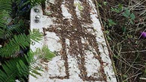 Aug '15 - Parish-Remains22.jpg