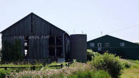 Dressage '15 - DSC05957.jpg