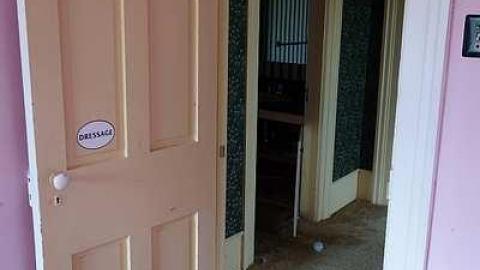 Dressage '15 - DSC05970.jpg