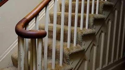 Dressage '15 - DSC06063.jpg