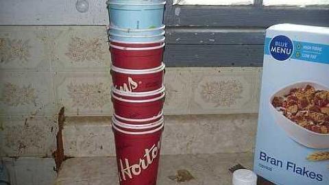 Broken Glass Broken Dreams photo 2