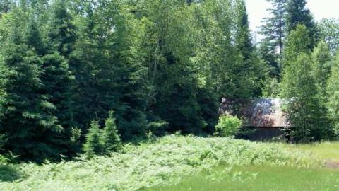 Next flag stop: Furnace Falls  - Furnace-Falls-(ghost-town)-213.jpg