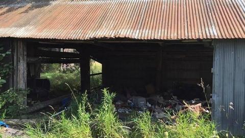 Photo from Summer 2015