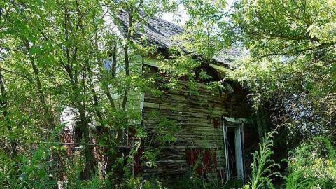 Creepily Cluttered '15 - Creepy-House11.jpg