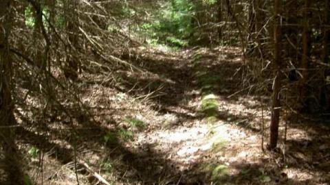 Next flag stop: Furnace Falls  - Furnace-Falls-(ghost-town)-214.jpg