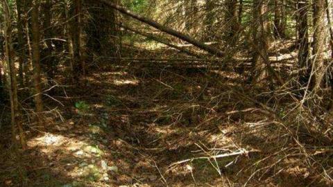 Furnace Falls (ghost town) 2 - Minden Hills, Ontario