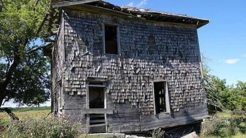 Aug '15 - DSC05425.jpg