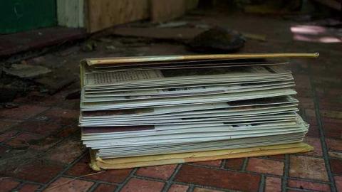 Norm Elder Cottage photo 3