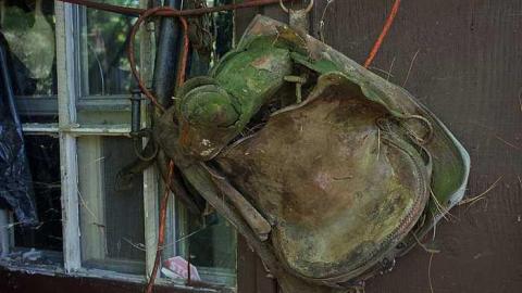 Norm Elder Cottage photo 4