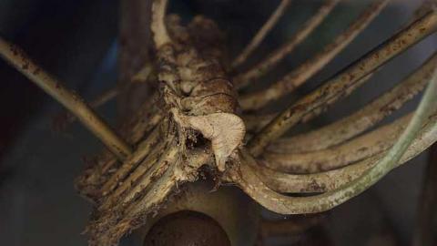 Norm Elder Cottage photo 2