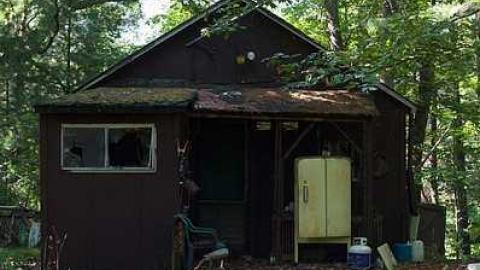 Norm Elder Cottage photo 5