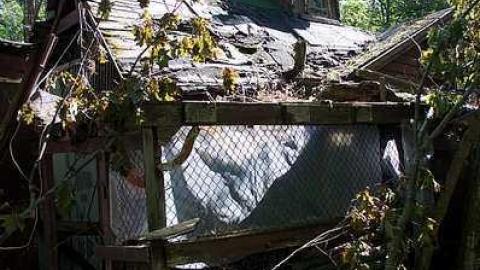 The Good Stuff - Norm-Elder-Cottage20.jpg