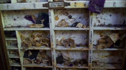 The Good Stuff - Norm-Elder-Cottage28.jpg