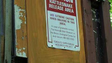 The Good Stuff - Norm-Elder-Cottage44.jpg