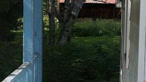 Something Kinda Wonderful - Barkway-(Black-Bill-Tragedy)16.jpg