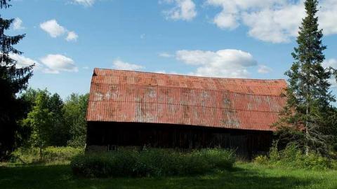 Something Kinda Wonderful - Barkway-(Black-Bill-Tragedy)10.jpg