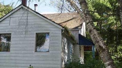 Something Kinda Wonderful - Barkway-(Black-Bill-Tragedy)11.jpg