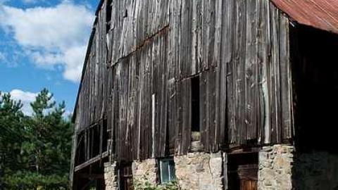 Something Kinda Wonderful - Barkway-(Black-Bill-Tragedy)1.jpg