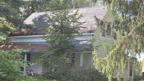 Something Kinda Wonderful - Barkway-(Black-Bill-Tragedy)4.jpg