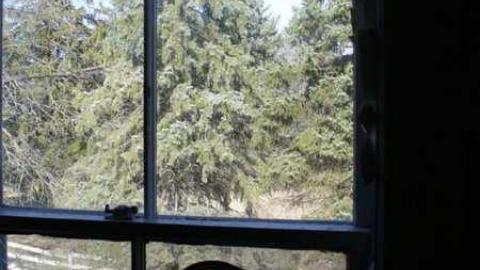 more of the same - John-Leary-House58.jpg