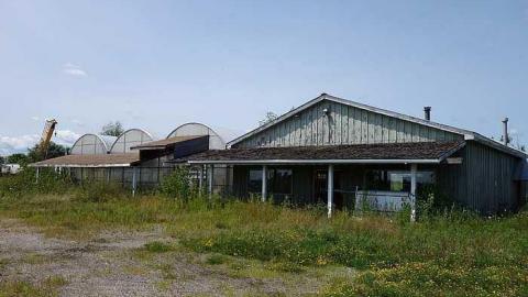 Photo from Stakes '15