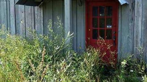 Photo from Stakes '15