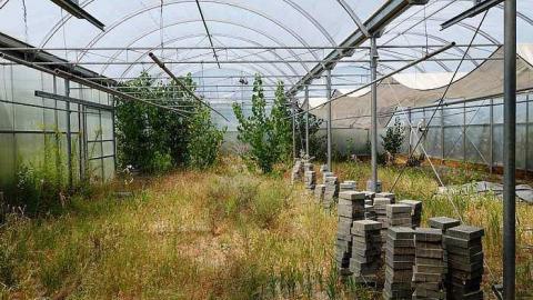 Stakes '15 - DSC06619.jpg