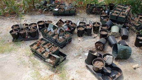 Stakes '15 - DSC06626.jpg