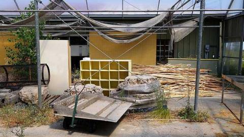 Stakes '15 - DSC06630.jpg