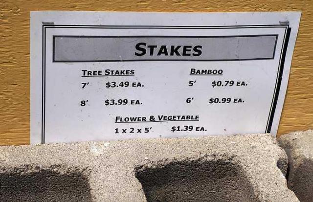 Stakes '15 - DSC06632.jpg