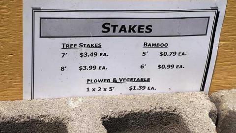 Stakes '15 - DSC06632.jpg