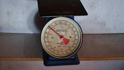 Stakes '15 - DSC06665.jpg