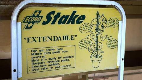 Stakes '15 - DSC06691.jpg