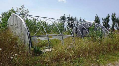 Stakes '15 - DSC06696.jpg