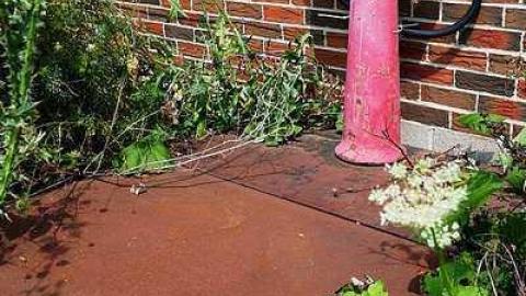 Stakes '15 - DSC06702.jpg