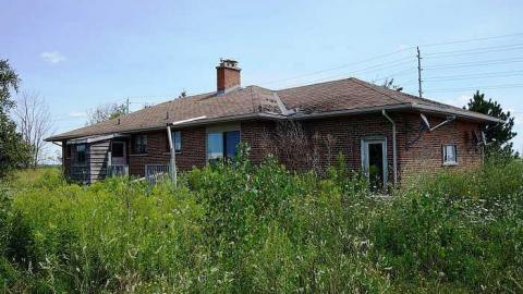 Stakes '15 - DSC06706.jpg