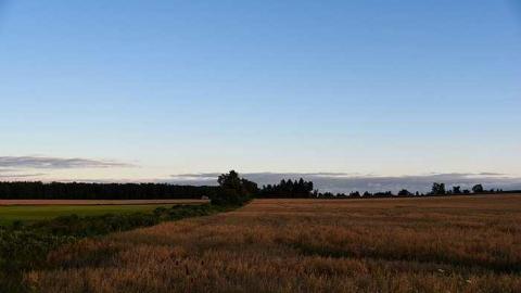 Falling In - image.jpg