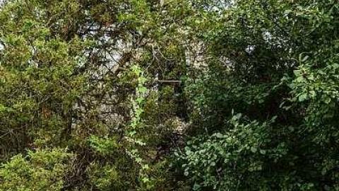 Photo from Falling In