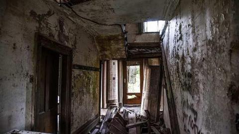 Falling In - ziimage.jpg