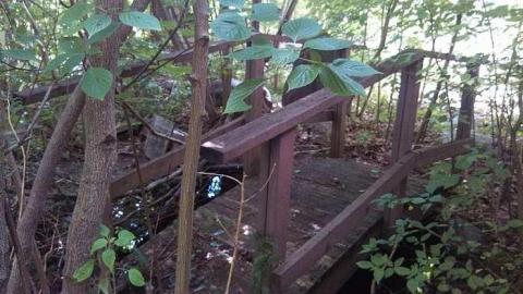 rcaf edgar - CFB-Edgar379.jpg