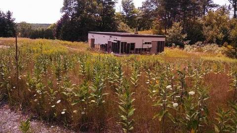 rcaf edgar - CFB-Edgar382.jpg