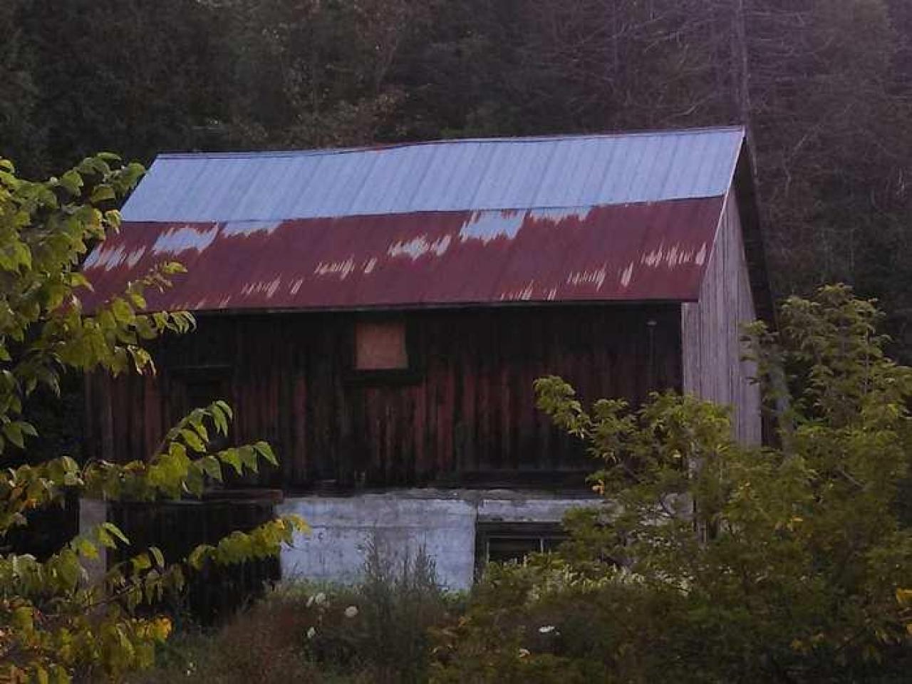 Dunedin station - my pictures 005.jpg