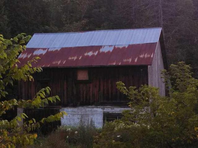 Dunedin station - my pictures 005.jpg