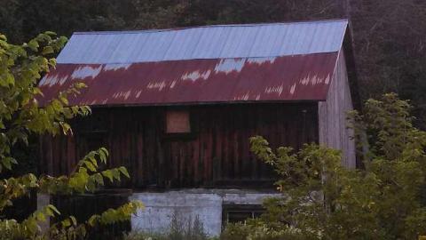 Photo from Dunedin station
